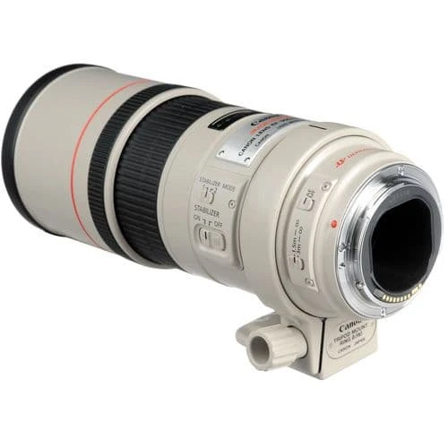 Canon EF 300mm f/4L IS USM Lens-02