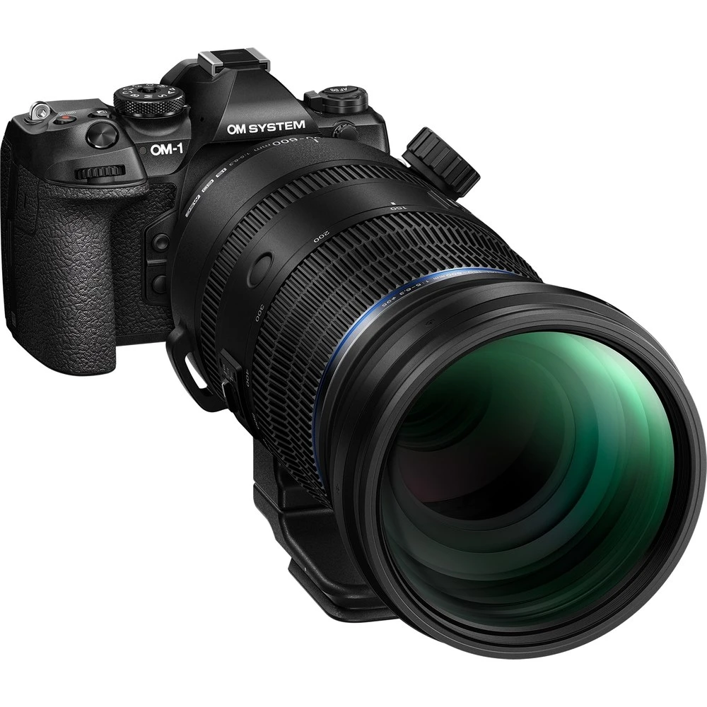 Olympus OM SYSTEM M.Zuiko Digital ED 150-600mm f/5.0-6.3 IS Lens-07